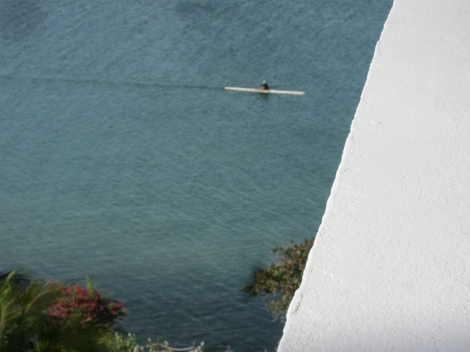 Early morning oar man in shell